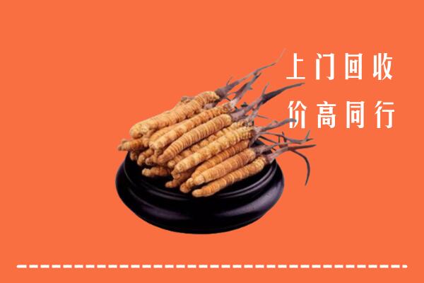 收购行情：扬州市冬虫夏草回收多少钱每克
